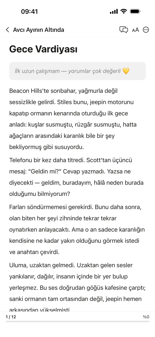 Bir hikâyenin ilk bölümünü gösteren Ficverse okuyucusu